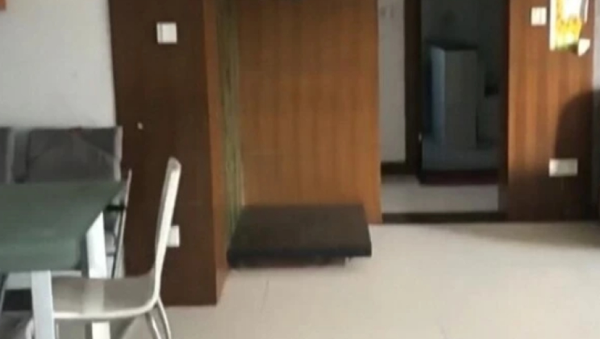 00后男大学生请假返乡结婚,澳门彩资料查询最新澳门,收益成语分析落实_粉丝版V13.84