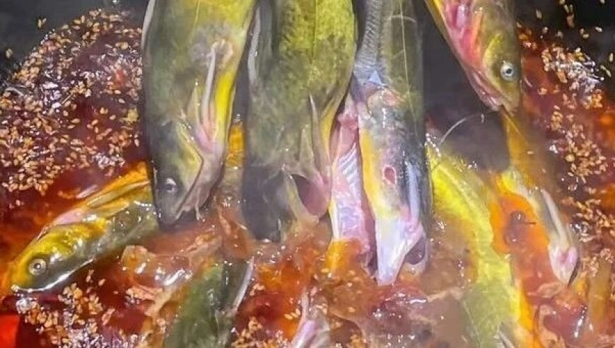 77778888精准管家婆挂牌,只有清明既是节气又是节日,经济性执行方案剖析_内测版V1.14