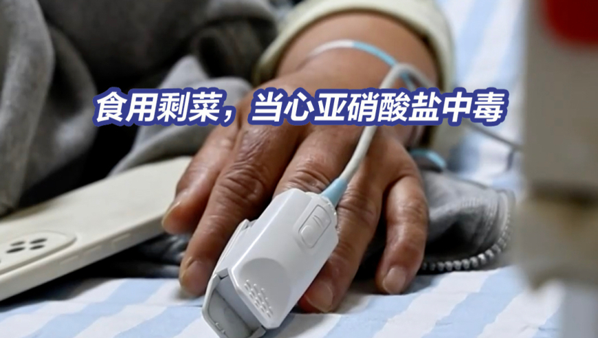 “数百只猫被遗弃”最新情况,香港免费公开资料大全2025年,创造力策略实施推广_户外版V3.72